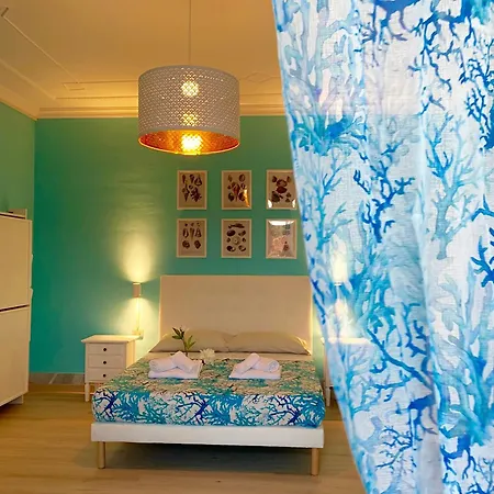 Bed & Breakfast Morrocoy